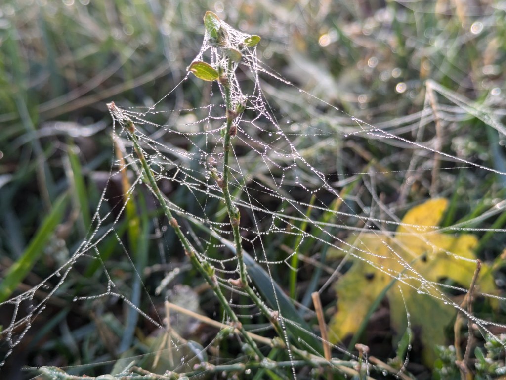 When Things Go&nbsp;Wrong